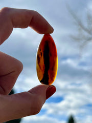 Montana Agate Rope Ring - J